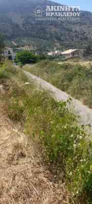 εικόνα_Viber_2025-06-12_12-31-59-837.jpg